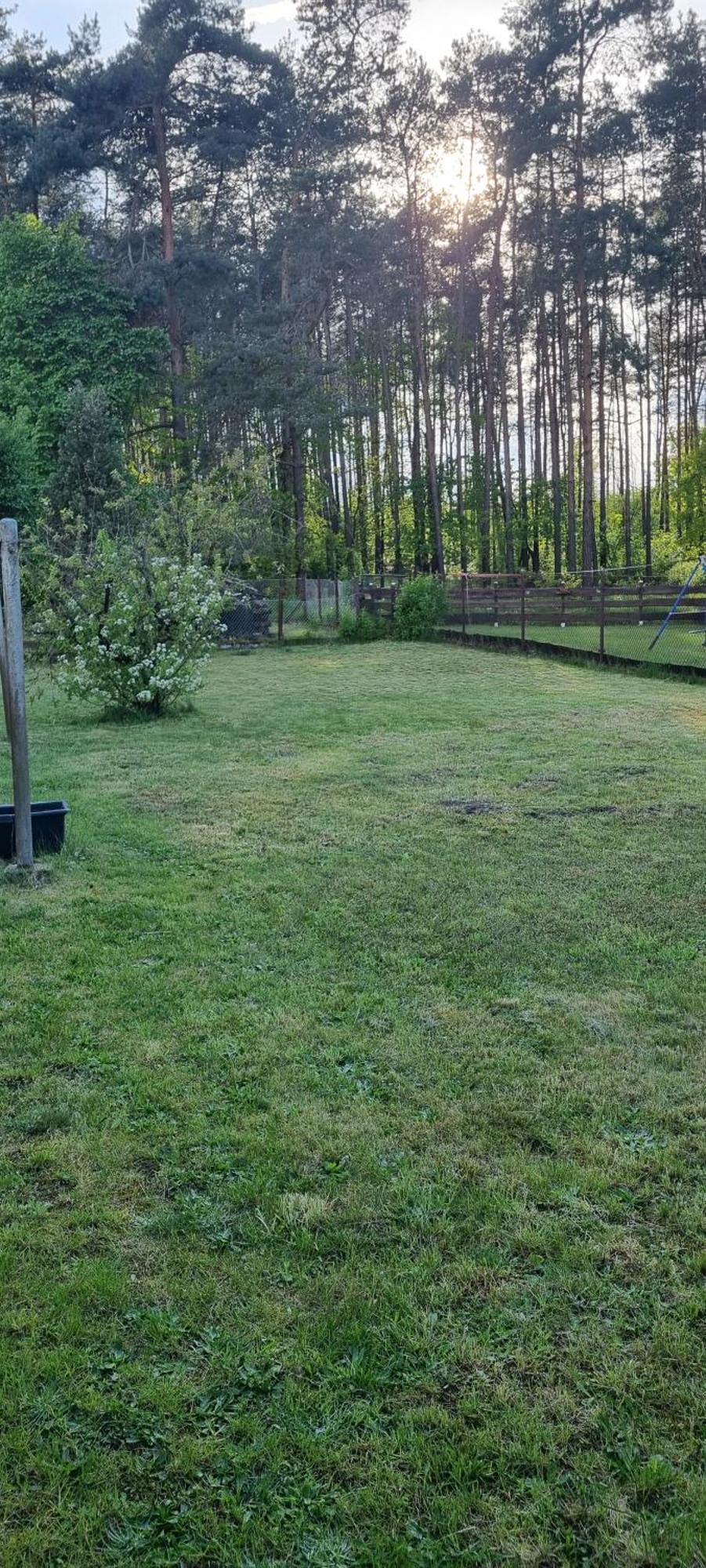 Karls Ferienhaus Grosskoschen Kültér fotó